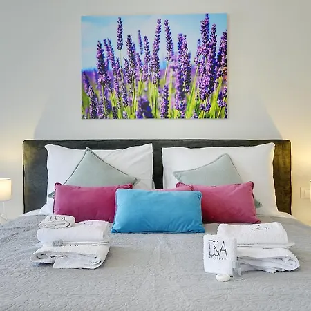 D&a Amphitheatre With Free Parking Appartement